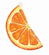 Image result for Orange Slice Drawing