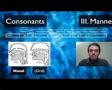 Image result for IPA Consonant Chart