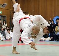 Image result for Nice Pictures Judo in Japan