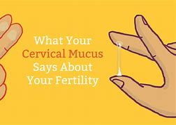 Image result for What Does Ovulation Mucus Look Like