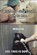 Image result for Dog Talk Meme