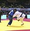 Image result for Tatami Judo Mats