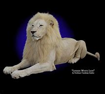 Image result for Taxidermy White Monkey Meme