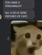 Image result for No Way Cat Meme