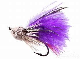 Image result for Fishing Flies Clip Art