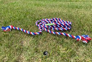 Image result for Tug of War Rope Toy