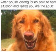 Image result for Funny Dog Text Messages