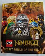 Image result for LEGO Ninjago Invizable