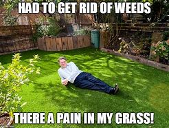 Image result for A Piece of Grass Meme