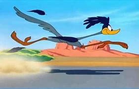 Image result for Road Runner Artwork