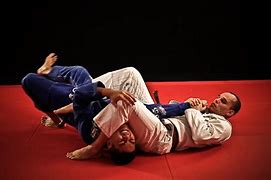 Image result for Brazilian Martial Arts Jiu Jitsu