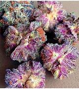 Image result for Purple Weed Nugs