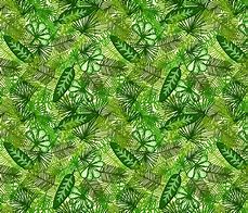 Image result for Jungle Leaves Print