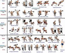 Image result for Muscle Gain Workout Routine