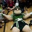 Image result for Michigan Wolverines Football Mascot