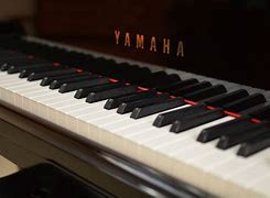 Image result for Songs for a Piano
