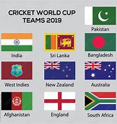 Image result for Flags in Cricket World Cup