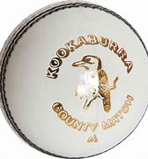 Image result for Kookaburra Cricket Balls