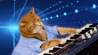 Image result for Cat Playing Piano Meme
