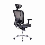 Image result for Mesh Back Office Chair with Lumbar Support