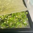 Image result for Dehydrating Onions in Dehydrator