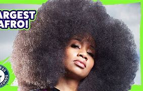 Image result for The Biggest Afro in the World