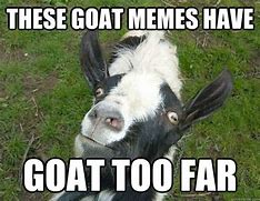 Image result for Goat Staring Meme