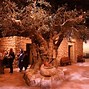 Image result for Bible Museum