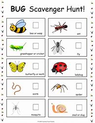 Image result for Free Preschool Bug Activities