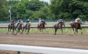 Image result for Horse Racing HD
