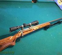 Image result for Heavy Barrel 243 Rifle