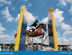 Image result for Amazing Horse Jumping