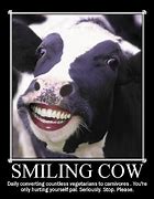 Image result for Smiling Cow Meme