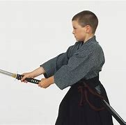 Image result for Sword-Fighting Martial Arts