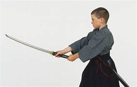 Image result for Japanese Martial Arts Types