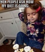 Image result for Diet Cat Meme