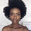 Image result for Hairstyles for 4B 4C Natural Hair