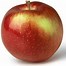 Image result for New York State Apple Varieties