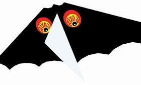 Image result for Baby Bat Kite