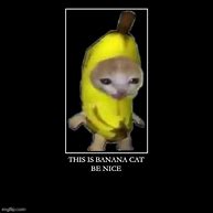 Image result for Banana Cat Yellow Meme