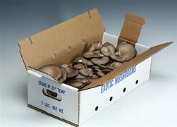 Image result for Packaging for Mushrooms