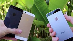 Image result for iPhone 5 Size in Hand