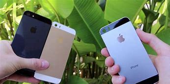 Image result for iphone 7 vs 5s