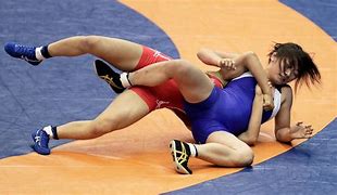 Image result for Wrestling Moves