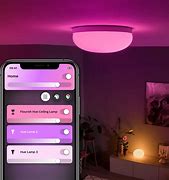 Image result for Philips Hue Ceiling Light