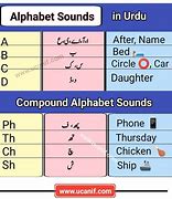 Image result for Urdu Language