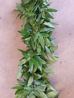 Image result for Baay Leaf Garland