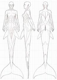 Image result for Mermaid Anatomy Fins