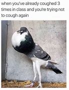 Image result for Divorced Birds Meme