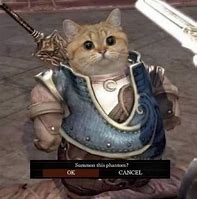 Image result for Dark Souls Cat Meme